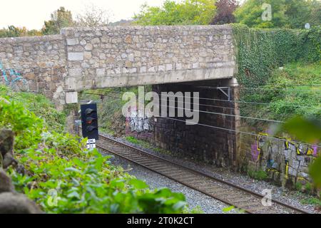 Une photo d'une mariée au-dessus d'une piste de train DART. Banque D'Images