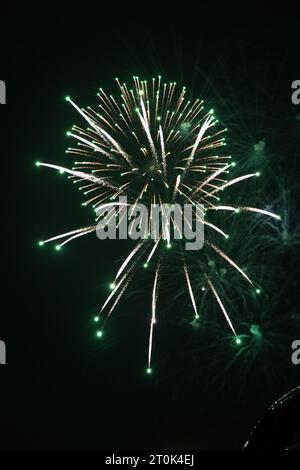 D'artifice du 4 juillet Banque D'Images