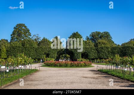 Roseraie ronde, jardins de Schönbrunn, jardins baroques du 18e siècle, Vienne, Autriche Banque D'Images