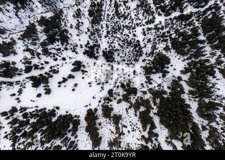 Vue aérienne par drone sur la route de col la plus spectaculaire des Alpes suisses - Col de Maloja à Grison, Suisse. Banque D'Images