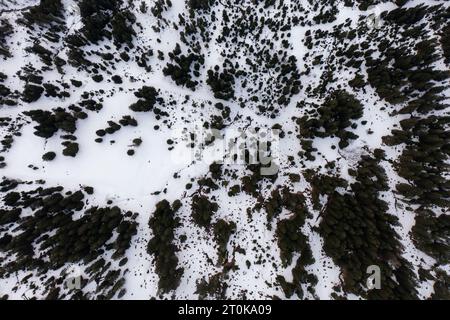 Vue aérienne par drone sur la route de col la plus spectaculaire des Alpes suisses - Col de Maloja à Grison, Suisse. Banque D'Images