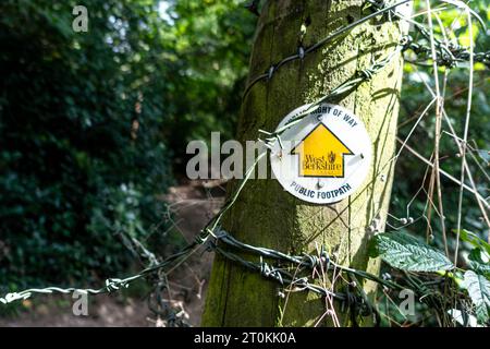 Une flèche jaune sur un petit disque blanc attaqué à un poteau marque une écriture publique de chemin à travers la campagne du West Berkshire Banque D'Images