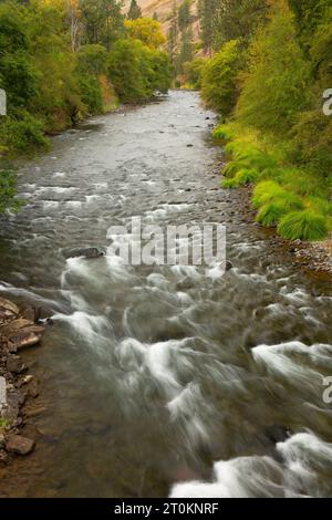 Wenaha Wild and Scenic River, Wenaha Wildlife Area, Troy, Oregon Banque D'Images