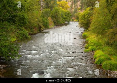 Wenaha Wild and Scenic River, Wenaha Wildlife Area, Troy, Oregon Banque D'Images