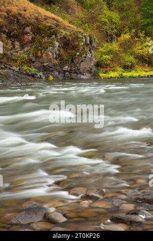 Grande Ronde, Wild and Scenic River, Wenaha de faune, de l'Oregon Banque D'Images