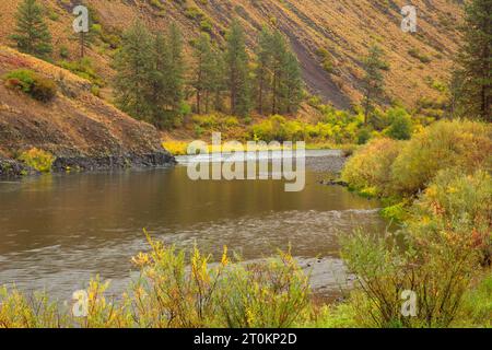 Grande Ronde, Wild and Scenic River, Wenaha de faune, de l'Oregon Banque D'Images