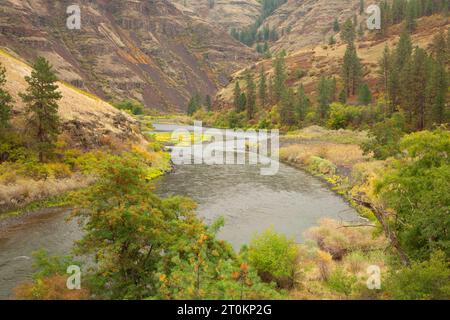 Grande Ronde, Wild and Scenic River, Wenaha de faune, de l'Oregon Banque D'Images