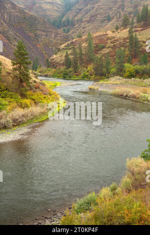 Grande Ronde, Wild and Scenic River, Wenaha de faune, de l'Oregon Banque D'Images