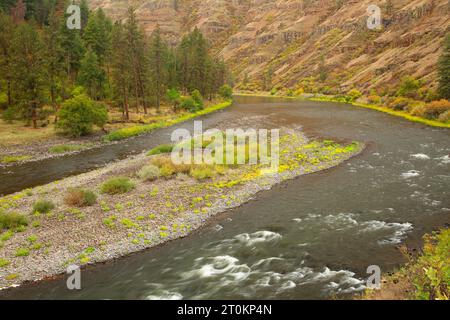 Grande Ronde, Wild and Scenic River, Wenaha de faune, de l'Oregon Banque D'Images