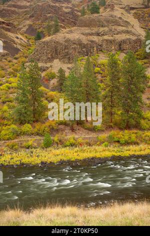 Grande Ronde, Wild and Scenic River, Wenaha de faune, de l'Oregon Banque D'Images