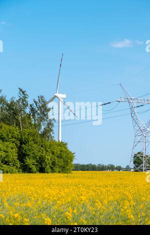 Éolienne sur champ jaune herbeux contre ciel bleu nuageux dans la zone rurale pendant le coucher du soleil. Parc éolien offshore avec nuages orageux dans les terres agricoles Pologne Europe. Centrale éolienne produisant de l'électricité. Énergie propre verte renouvelable. Mode de vie durable Banque D'Images