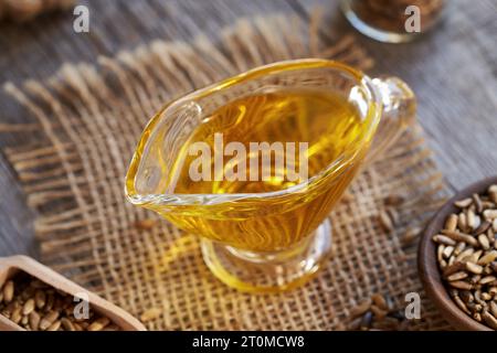Huile de chardon Marie dans un pot en verre avec des graines de Carduus marianus Banque D'Images