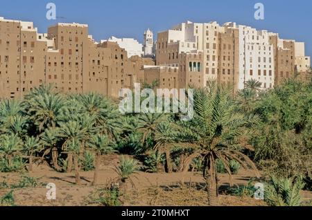 Shibam Hadramawt est une ville dans Yemen. Avec environ 7 000 habitants, il est le siège du district de Shibam dans le gouvernorat de Hadhramaut. Banque D'Images