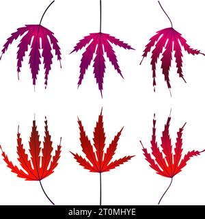 Graphique illustré automne Canadian Maple Leaves Fallen graphique illustré couleurs violet rouge Illustration de Vecteur