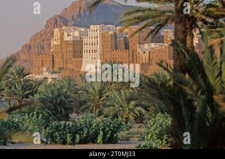 Shibam Hadramawt est une ville dans Yemen. Avec environ 7 000 habitants, il est le siège du district de Shibam dans le gouvernorat de Hadhramaut. Banque D'Images