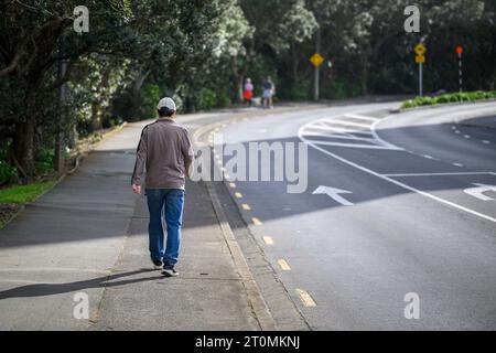 Les gens et les chiens marchent sur la passerelle piétonne. Auckland. Banque D'Images