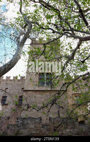 Façade haute tour des fortifications de la ville médiévale de Rhodes derrière des branches d'arbres Banque D'Images