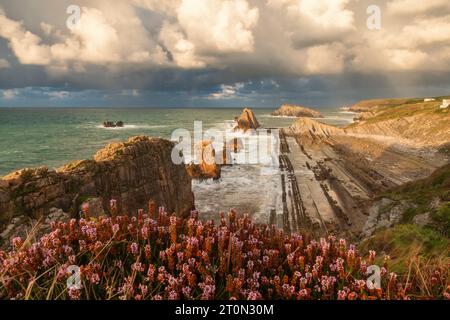 Côte de mer sur l'océan Atlantique avec plage d'Arnia à Santander, Cantabrie, nord de l'Espagne avec falaises et rochers flysch. Destination de voyage populaire Banque D'Images
