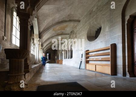 Cloître dans l'église abbatiale bénédictine et cluniaque et monastère à Vézelay, Bourgogne en France Banque D'Images