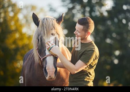 Homme pendant le toilettage du cheval sur la journée ensoleillée d'été. Gros plan de la main tout en brossant le dos de la jument brune. Banque D'Images