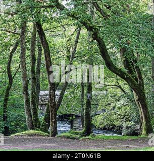 Pont de Shaugh dans les bois de Dewerstone sur le bord de Dartmoor dans le Devon Sud. Les rivières Plym et Meavy coulent dans le pont de pierre, vu à travers un éboulis Banque D'Images