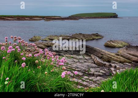 Le Tidal Island Brough de Birsay dans les Orcades, en Écosse. Banque D'Images