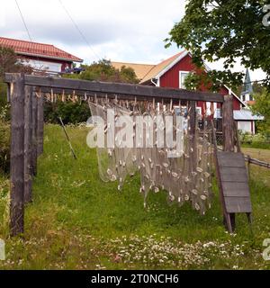 Vieux filet de pêche du passé accroché sur une position dans un jardin. Bâtiments en arrière-plan. Banque D'Images