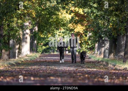 Kolkwitz, Allemagne. 08 octobre 2023. Une femme et une fille marchent avec un chien sous les chênes d'une avenue, qui commencent à tourner les couleurs automnales. Après un dimanche ensoleillé, selon le service météorologique allemand, il y aura de la pluie généralisée la nuit prochaine et aussi localement lundi. Les températures ne devraient pas dépasser 15 degrés. Crédit : Frank Hammerschmidt/dpa/Alamy Live News Banque D'Images