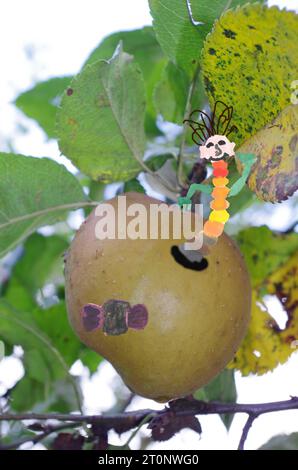 Apple Worm. Banque D'Images