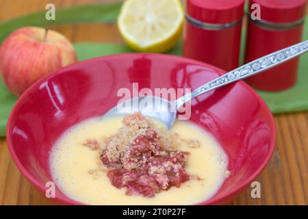 Un bol de crumble à la rhubarbe et aux pommes avec crème anglaise Banque D'Images