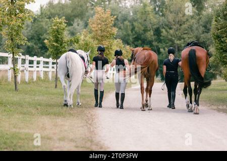 Trois beaux chevaux avec des jockeys femelles, marchant côte à côte le long d'un chemin près des champs de ferme équestre Banque D'Images