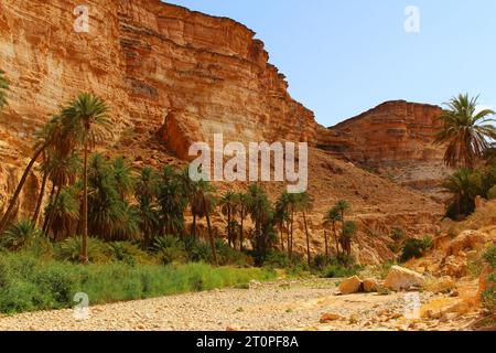 Canyon de Ghoufi, montagnes d'Aurès, Algérie Banque D'Images