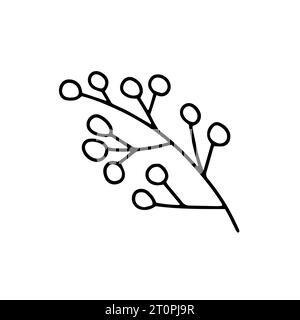 Esquisse de vecteur de branche de baies de cendre Illustration de Vecteur