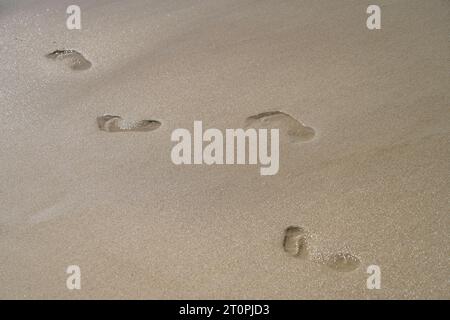 Spuren im Sand, Sylt, Schleswig-Holstein, Deutschland Banque D'Images