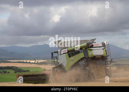 Une moissonneuse-batteuse Claas Lexion vue de derrière dans nuages de débris travaillant dans un champ d'orge Hillside avec vue sur Aberdeenshire Banque D'Images