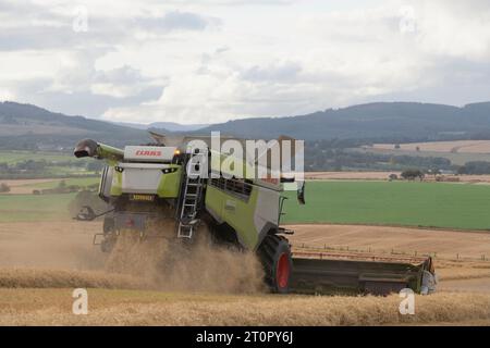 Moissonneuse-batteuse Claas fonctionnant dans un champ d'orge vue de derrière produisant de la paille avec des nuages de débris Banque D'Images