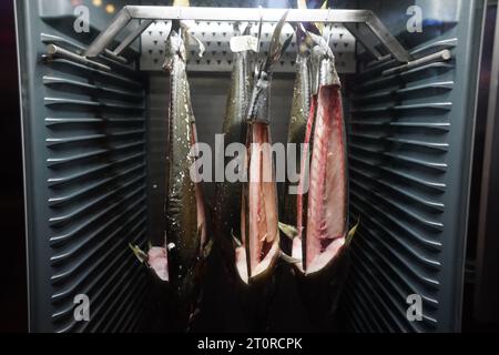 Hambourg, Allemagne. 07 octobre 2023. Vue dans un réfrigérateur avec du poisson dans le bar de nourriture thaï 'Jing Jing'. Les lieux de vie nocturne de Hambourg, Berlin, Vienne, Bâle, Munich et Francfort-sur-le-main comptent parmi les lauréats des Mixology Bar Awards pour l’année 2024. Le bar alimentaire thaïlandais « Jing Jing » à Hambourg - non loin du Schanze, dans une petite zone industrielle - a été nommé « Nouveau bar de l'année ». Crédit : Marcus Brandt/dpa/Alamy Live News Banque D'Images