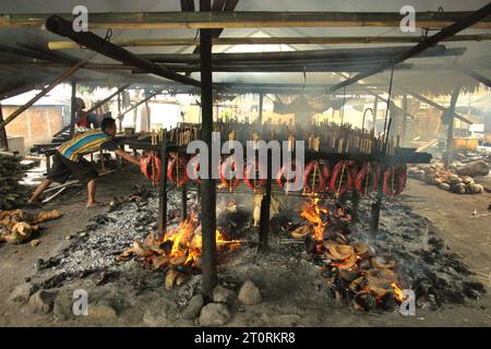 Un travailleur maintient la distribution égale des coques de noix de coco qui sont utilisées comme combustible pour fumer des viandes de thon listao dans une industrie domestique à Bitung, Sulawesi du Nord, en Indonésie. Les contributions des connaissances autochtones à l'innovation technologique offrent un large éventail d'options pour la gestion, entre autres, de la sécurité alimentaire, selon le rapport de 2023 du Groupe d'experts intergouvernemental sur l'évolution du climat (GIEC). Populairement connu sous le nom de cakalang fufu, le thon fumé est considéré comme un aliment indigène exotique et pourrait devenir une solution alternative pour faire face aux impacts du changement climatique sur l’océan. Banque D'Images