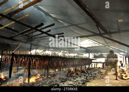 Un travailleur maintient la distribution égale des coques de noix de coco qui sont utilisées comme combustible pour fumer des viandes de thon listao dans une industrie domestique à Bitung, Sulawesi du Nord, en Indonésie. Les contributions des connaissances autochtones à l'innovation technologique offrent un large éventail d'options pour la gestion, entre autres, de la sécurité alimentaire, selon le rapport de 2023 du Groupe d'experts intergouvernemental sur l'évolution du climat (GIEC). Populairement connu sous le nom de cakalang fufu, le thon fumé est considéré comme un aliment indigène exotique et pourrait devenir une solution alternative pour faire face aux impacts du changement climatique sur l’océan. Banque D'Images