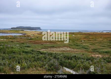 Plage à l’Anse aux Meadows, Terre-Neuve-et-Labrador, Canada Banque D'Images