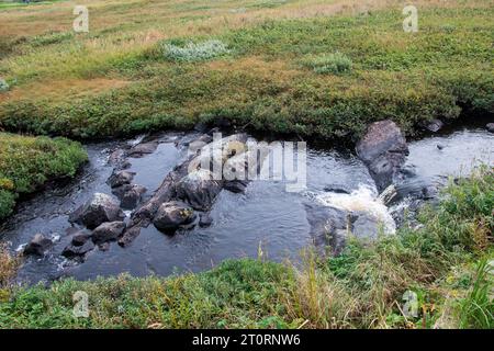 Ruisseau à l’Anse aux Meadows, Terre-Neuve-et-Labrador, Canada Banque D'Images