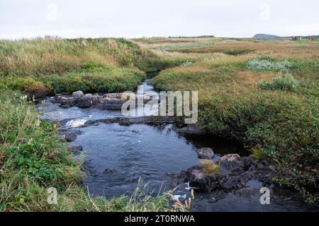 Ruisseau à l’Anse aux Meadows, Terre-Neuve-et-Labrador, Canada Banque D'Images