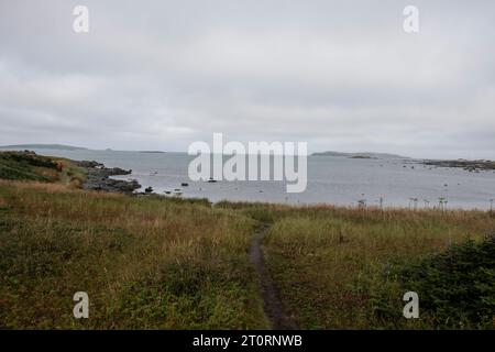 Plage à l’Anse aux Meadows, Terre-Neuve-et-Labrador, Canada Banque D'Images