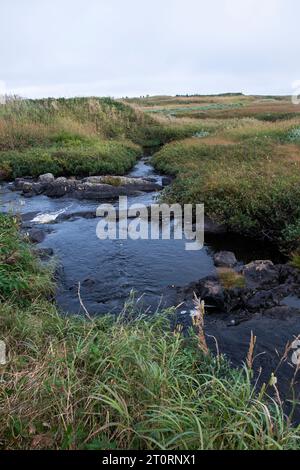 Ruisseau à l’Anse aux Meadows, Terre-Neuve-et-Labrador, Canada Banque D'Images