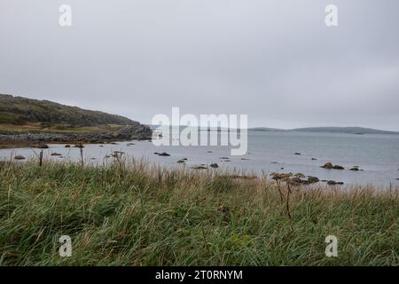 Plage à l’Anse aux Meadows, Terre-Neuve-et-Labrador, Canada Banque D'Images