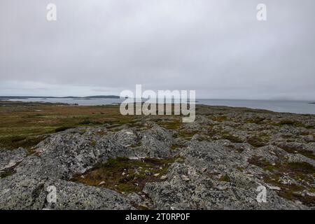 Plage à l’Anse aux Meadows, Terre-Neuve-et-Labrador, Canada Banque D'Images