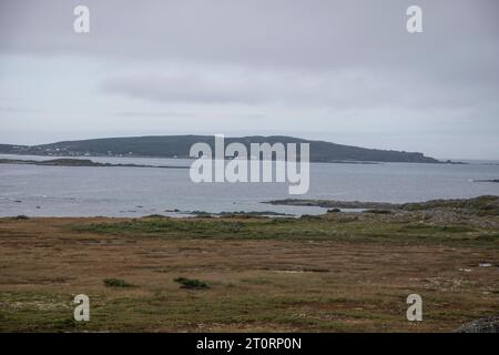 Plage à l’Anse aux Meadows, Terre-Neuve-et-Labrador, Canada Banque D'Images