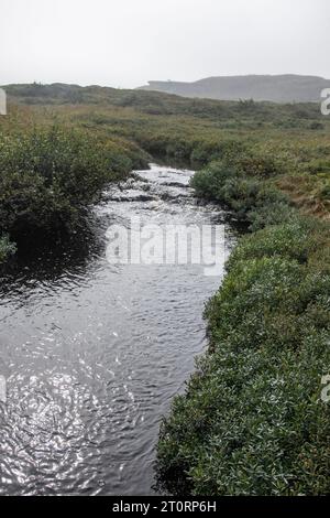 Ruisseau à l’Anse aux Meadows, Terre-Neuve-et-Labrador, Canada Banque D'Images