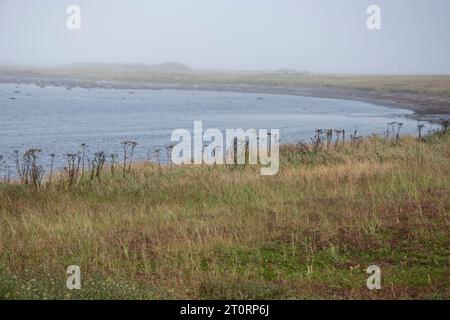 Plage à l’Anse aux Meadows, Terre-Neuve-et-Labrador, Canada Banque D'Images