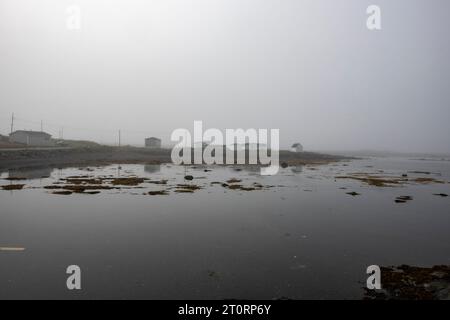 Hay Cove à Saint Lunaire-Griquet, Terre-Neuve-et-Labrador, Canada Banque D'Images